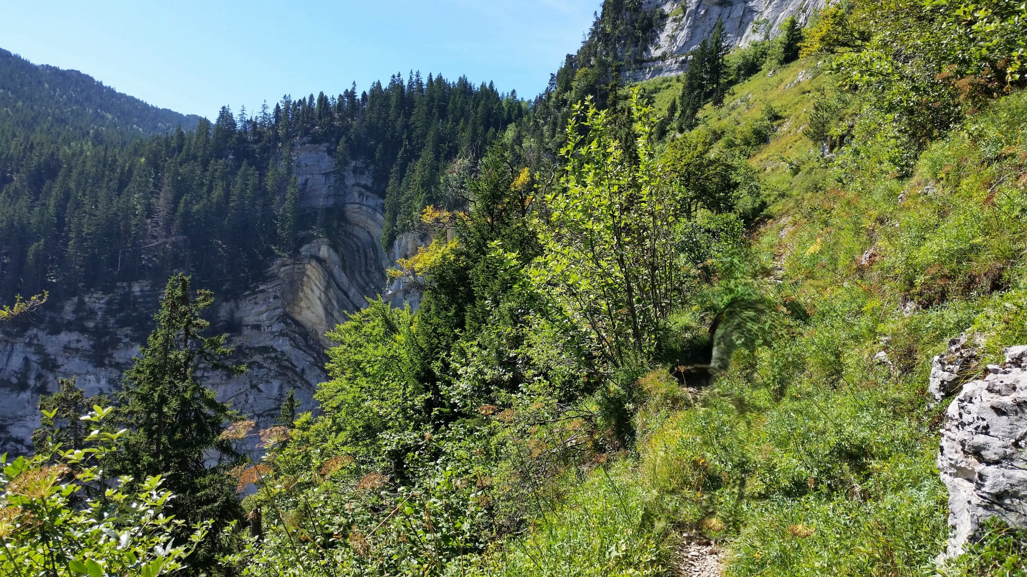 randonnée dans le  massif de la Chartreuse au Mont Granier  N