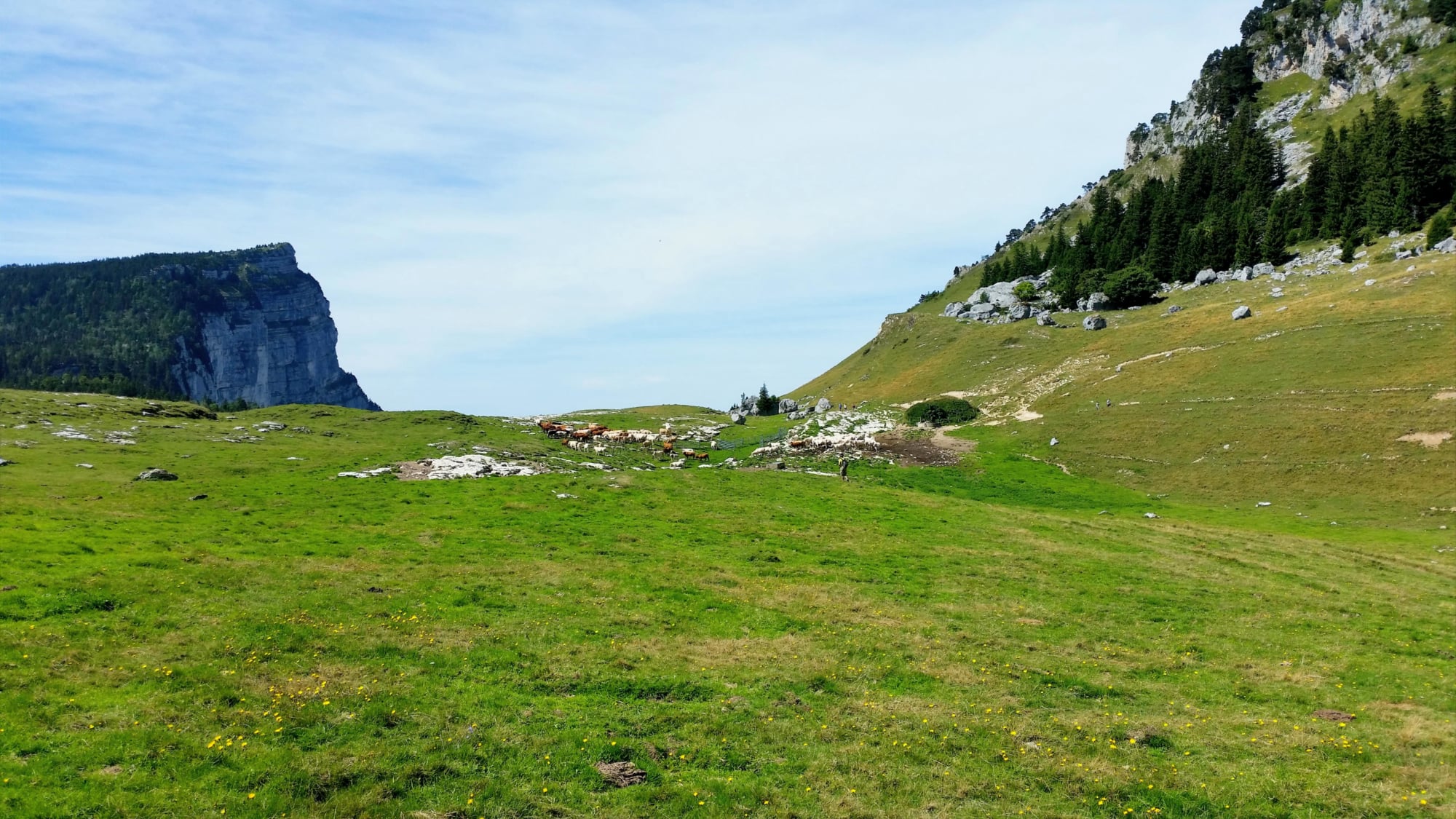 randonnée dans le  massif de la Chartreuse au Mont Granier  O