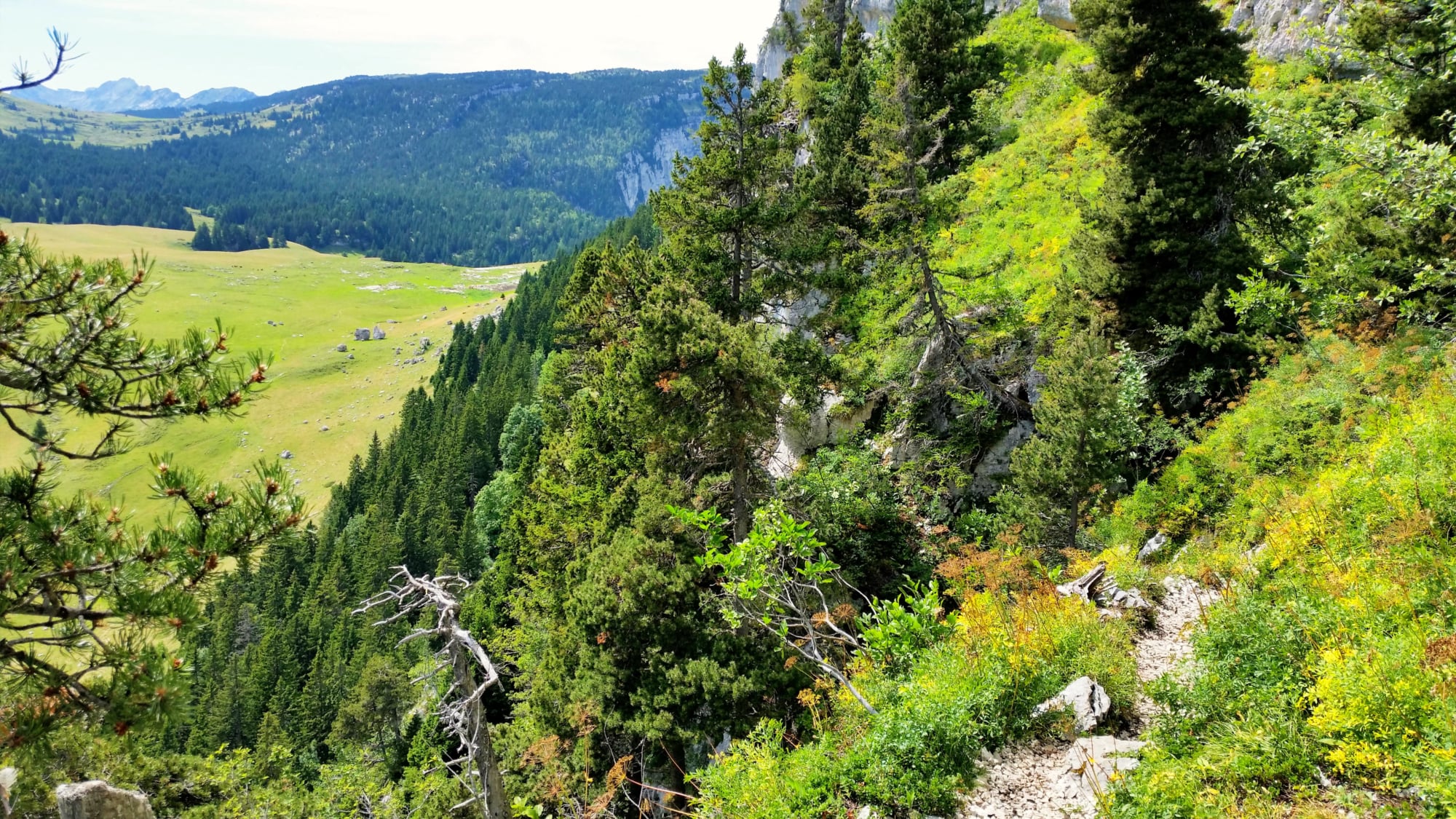 randonnée dans le  massif de la Chartreuse au Mont Granier  O