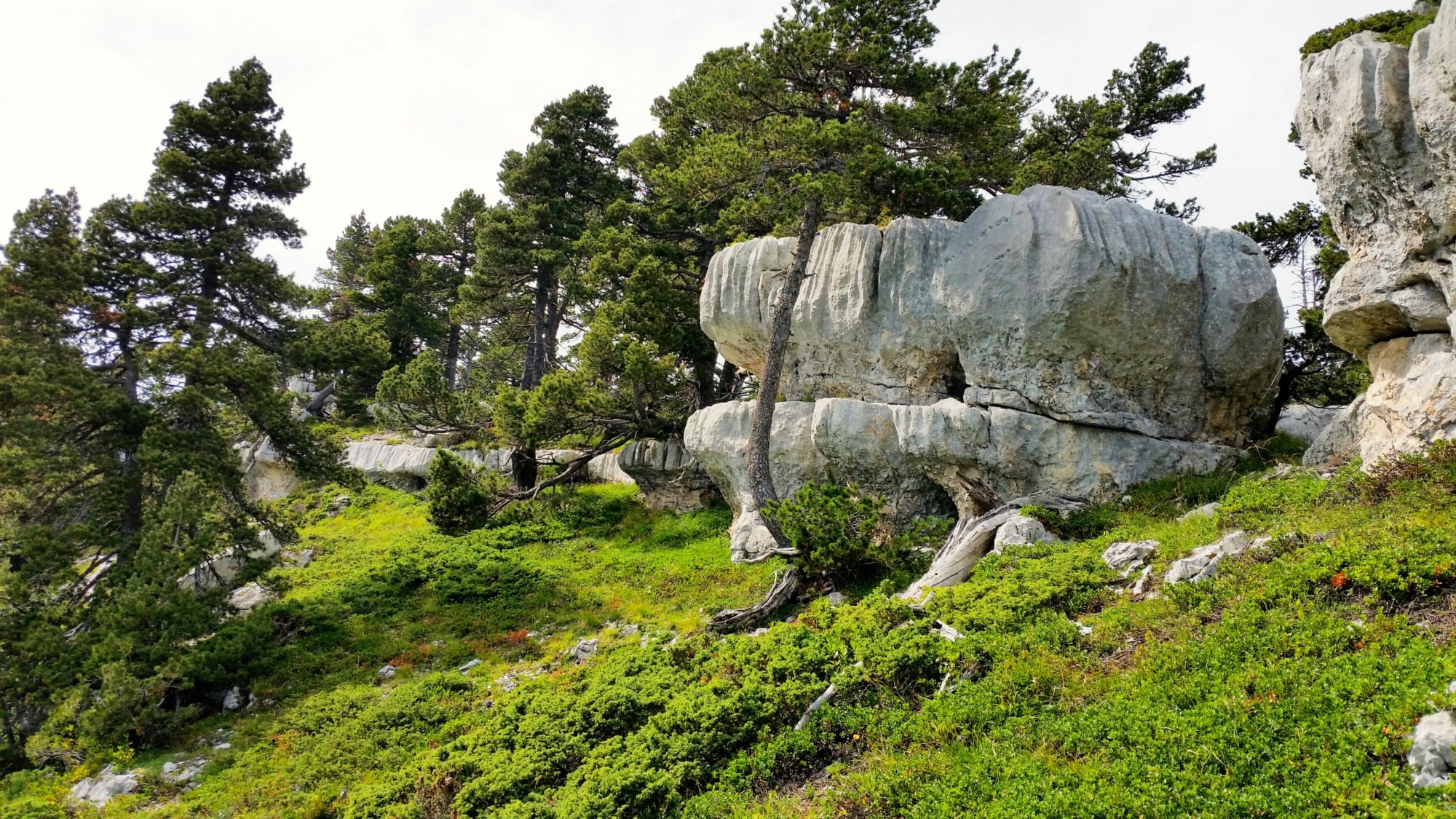 randonnée dans le  massif de la Chartreuse au Mont Granier  J