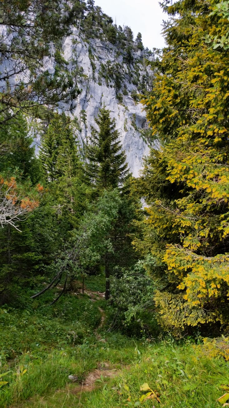 randonnée dans le  massif de la Chartreuse au Mont Granier  Pas des Barres 9