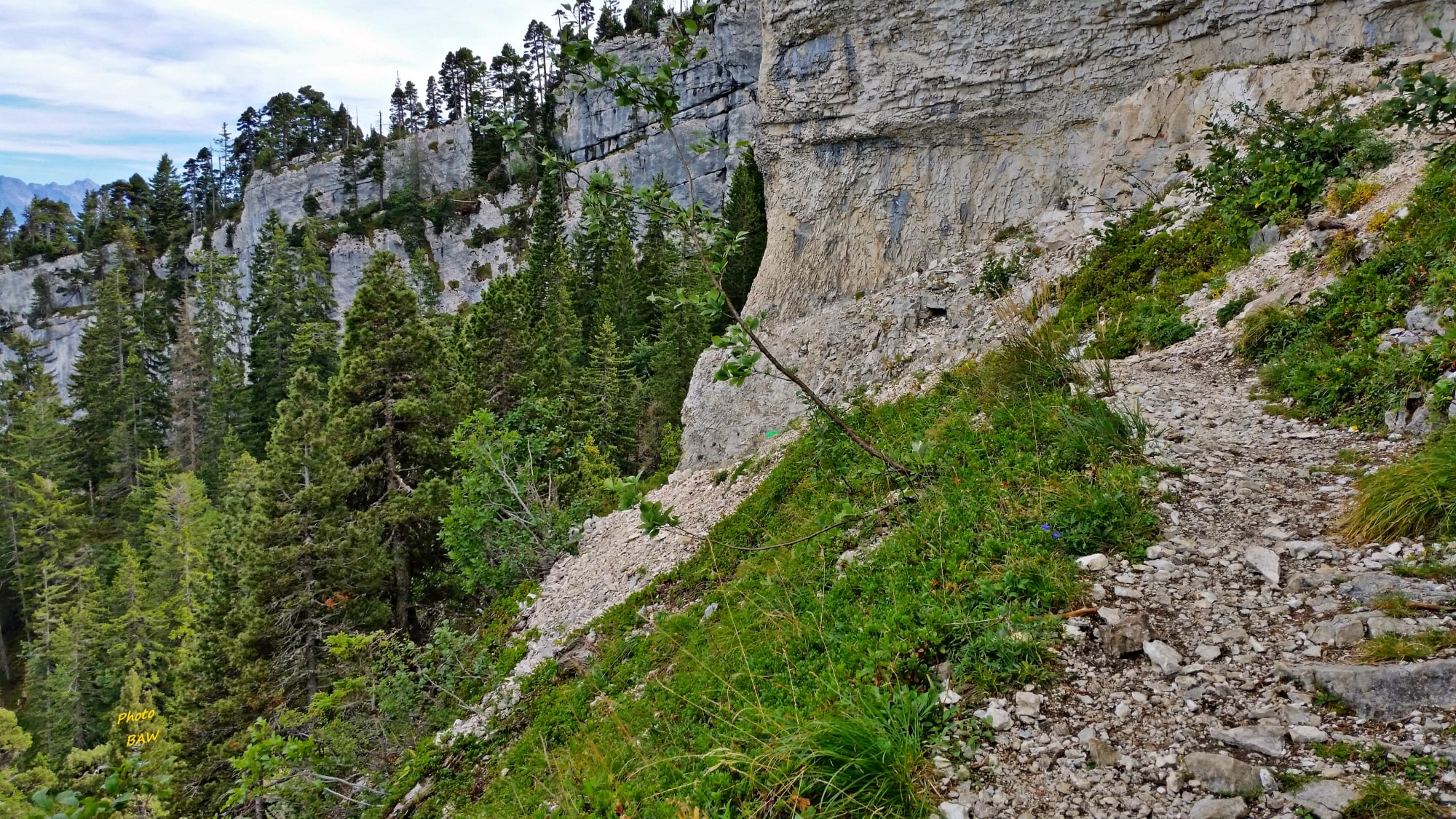randonnée dans le  massif de la Chartreuse au Mont Granier  N