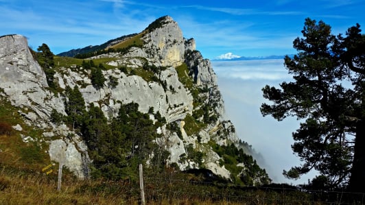 Le sommet de la Pinéa randonnée dans le massif de la Chartreuse France