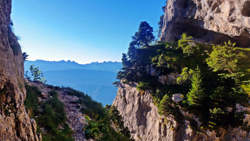 sangle de la tour percée en chartreuse