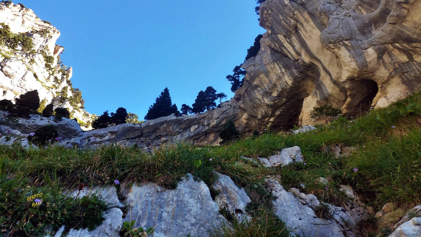 sangle de la tour percée en chartreuse