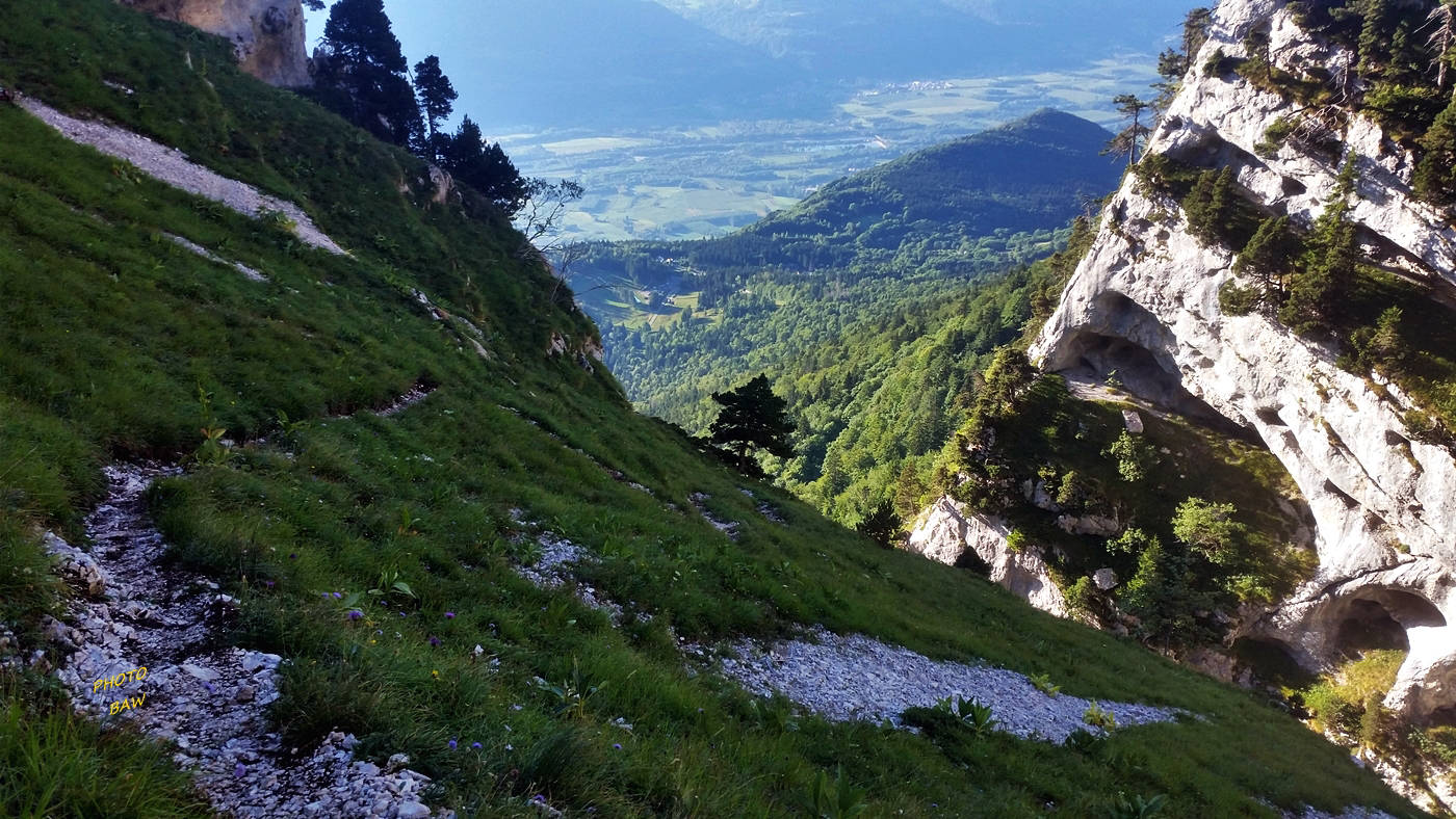 sangle de la tour percée en chartreuse