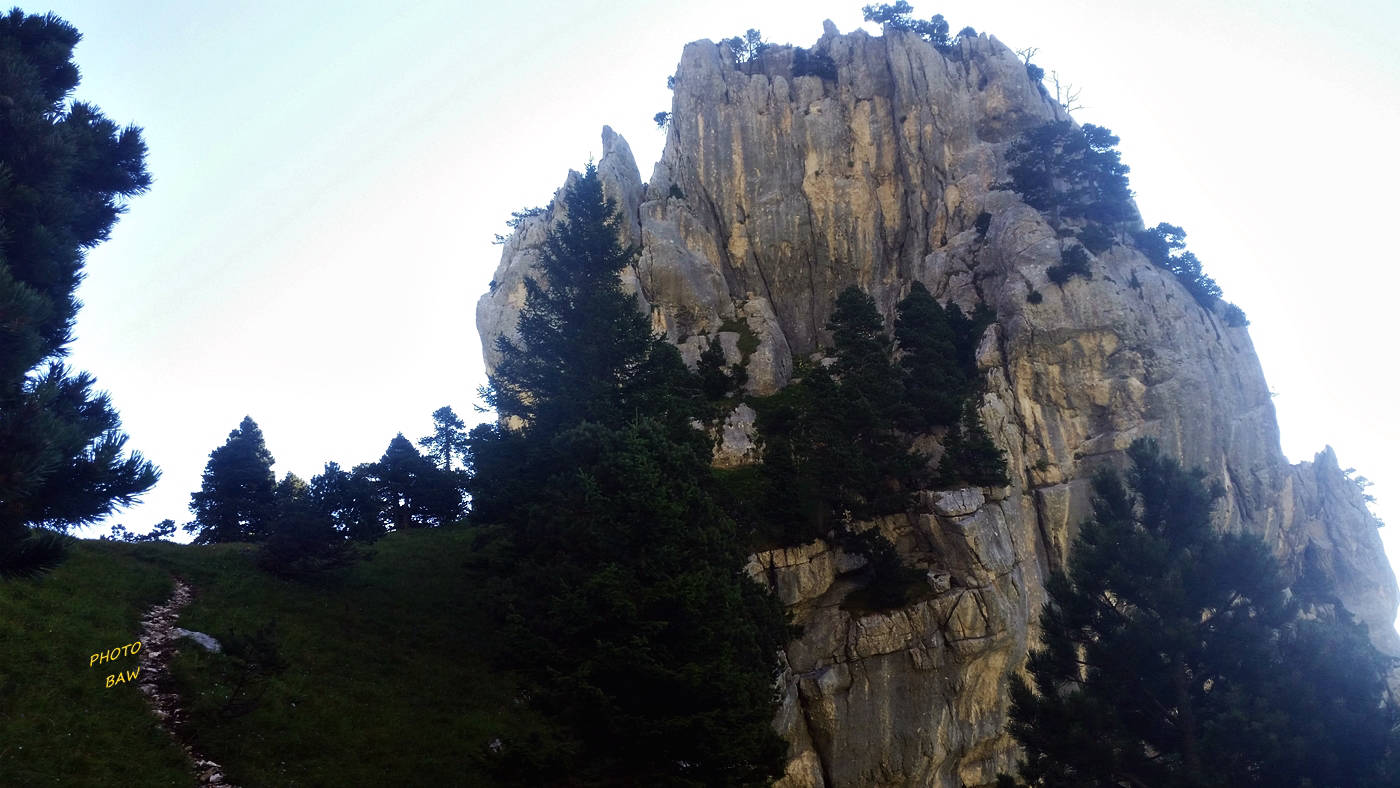 sangle de la tour percée en chartreuse