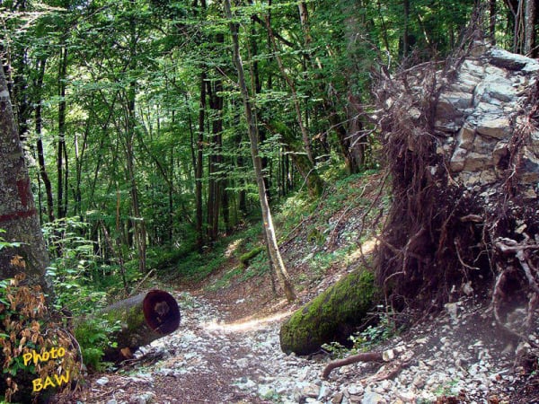 randonnée col de Marcieu massif de la Chartreuse