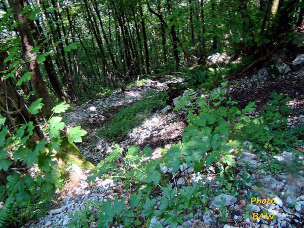 randonnée col de Marcieu massif de la Chartreuse