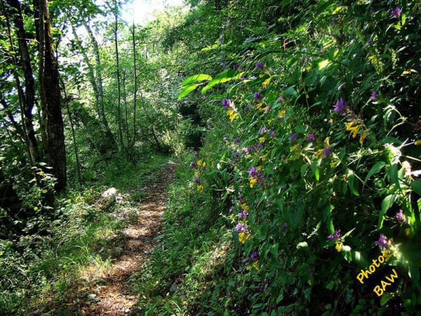 randonnée col de Marcieu massif de la Chartreuse