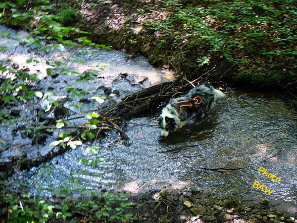 randonnée col de Marcieu massif de la Chartreuse