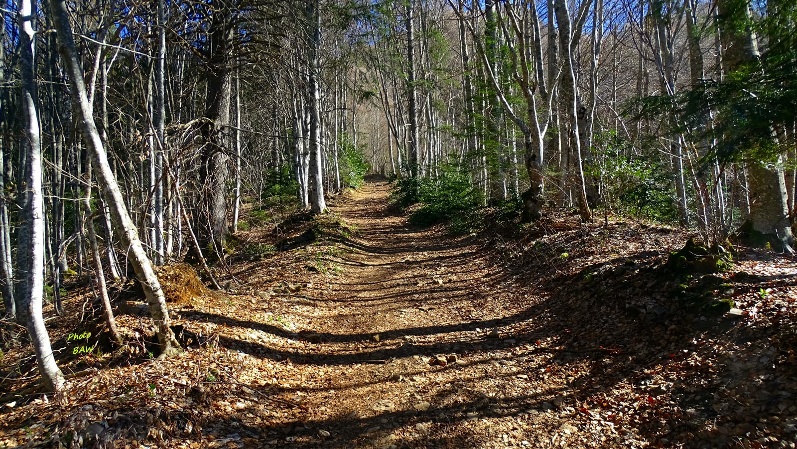 randonnée au Mont Joigny et la pointe de Gorgeat massif de la Chartreuse