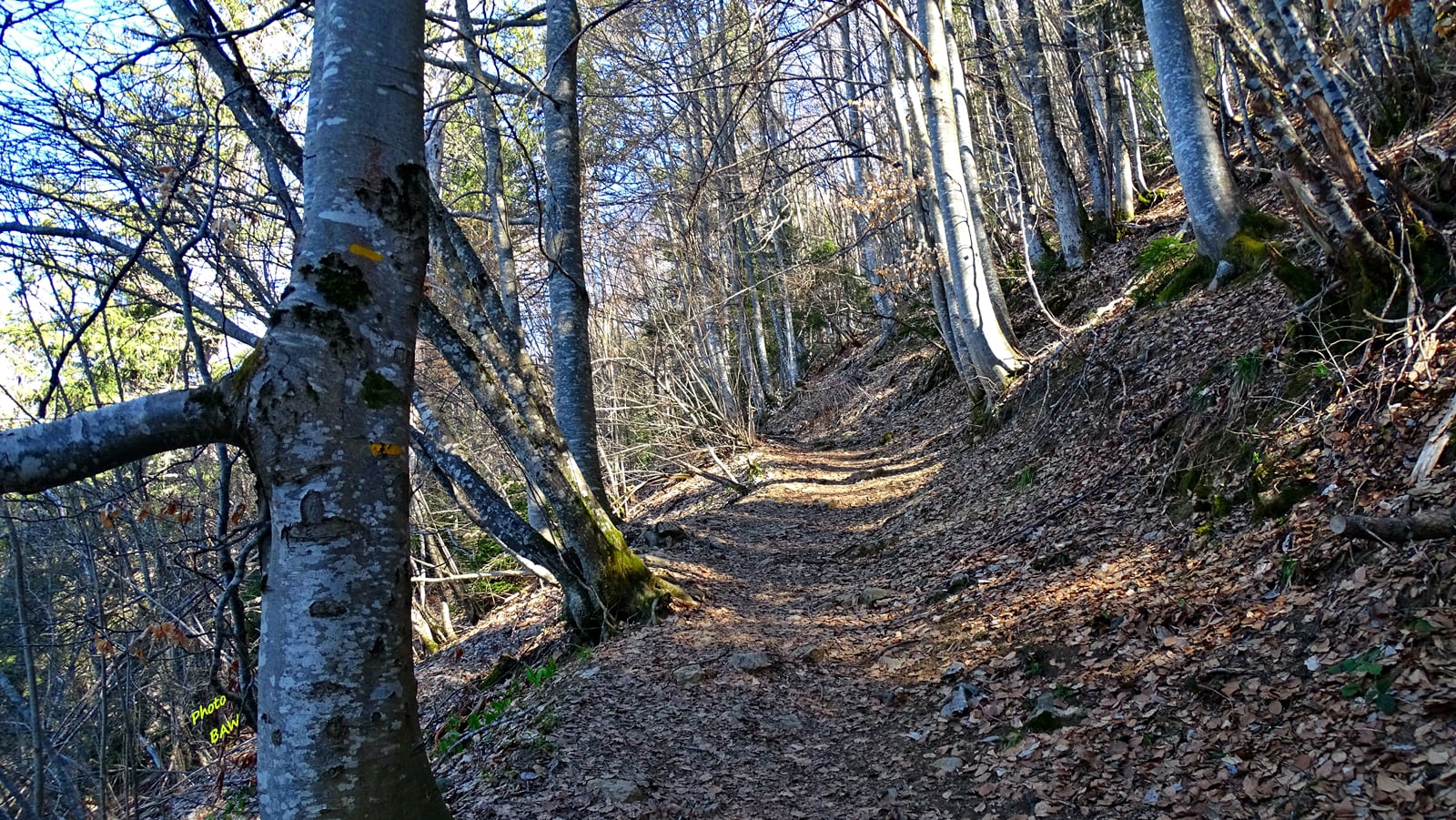 randonnée au Mont Joigny et la pointe de Gorgeat massif de la Chartreuse