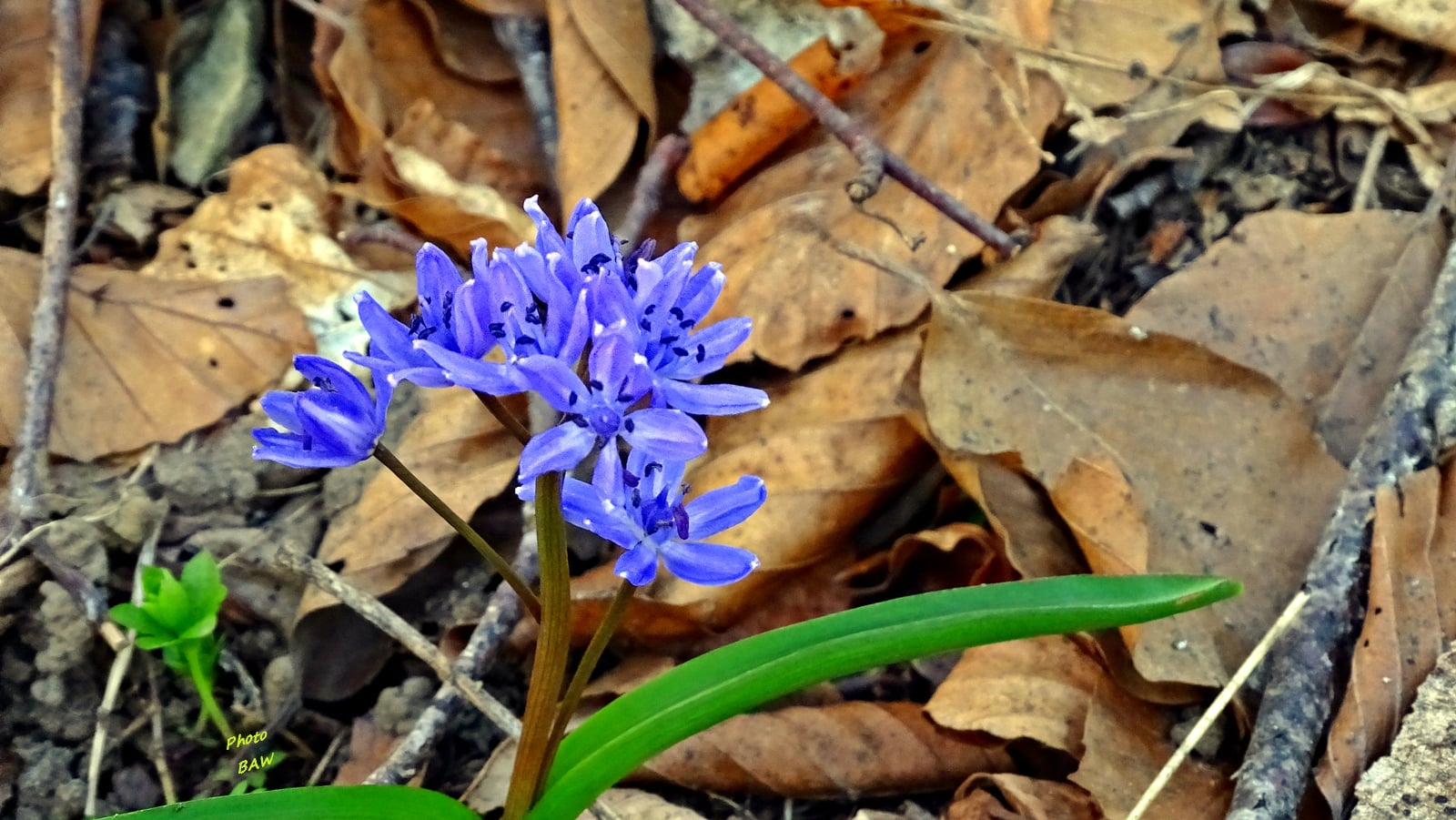 randonnée au Mont Joigny et la pointe de Gorgeat massif de la Chartreuse