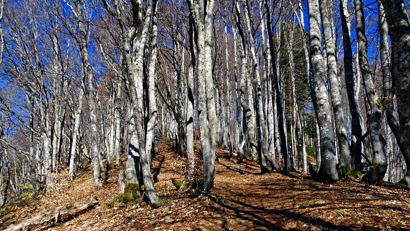 randonnée au Mont Joigny et la pointe de Gorgeat massif de la Chartreuse