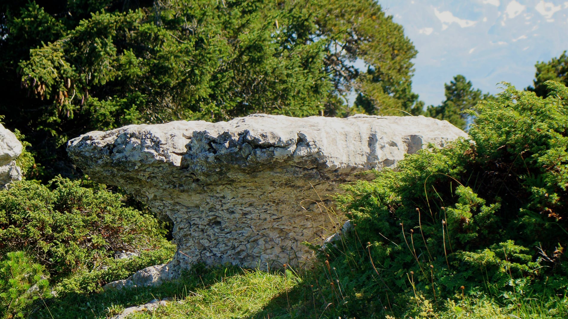 randonnée au mont Pinet les champignons de pierre massif Chartreuse