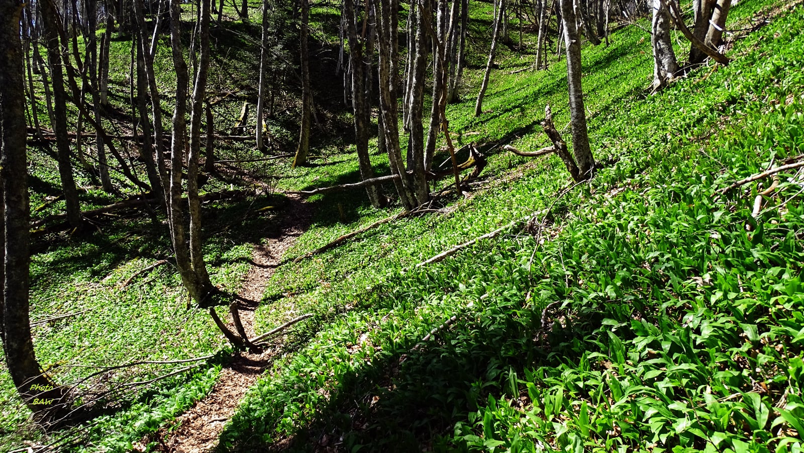 randonnée au Mont Joigny et la pointe de Gorgeat massif de la Chartreuse