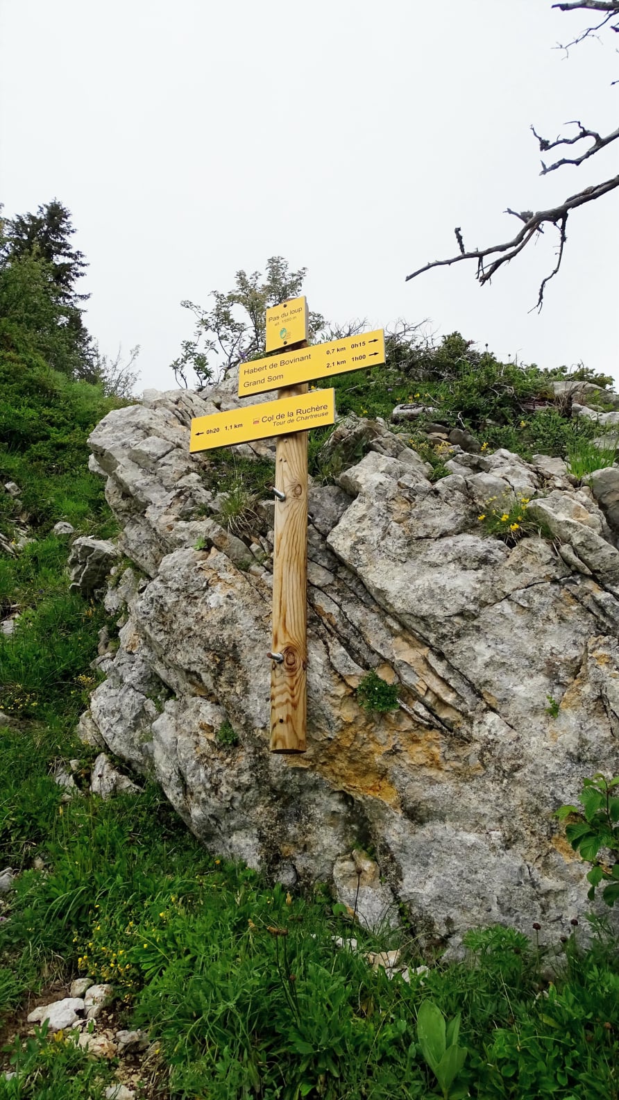 Pas du Loup randonnée massif de la  Chartreuse