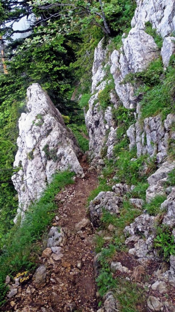 Pas du Loup randonnée massif de la  Chartreuse