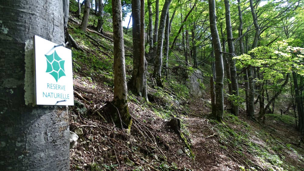 randonnée au passage du Fourneau  massif de la Chartreuse