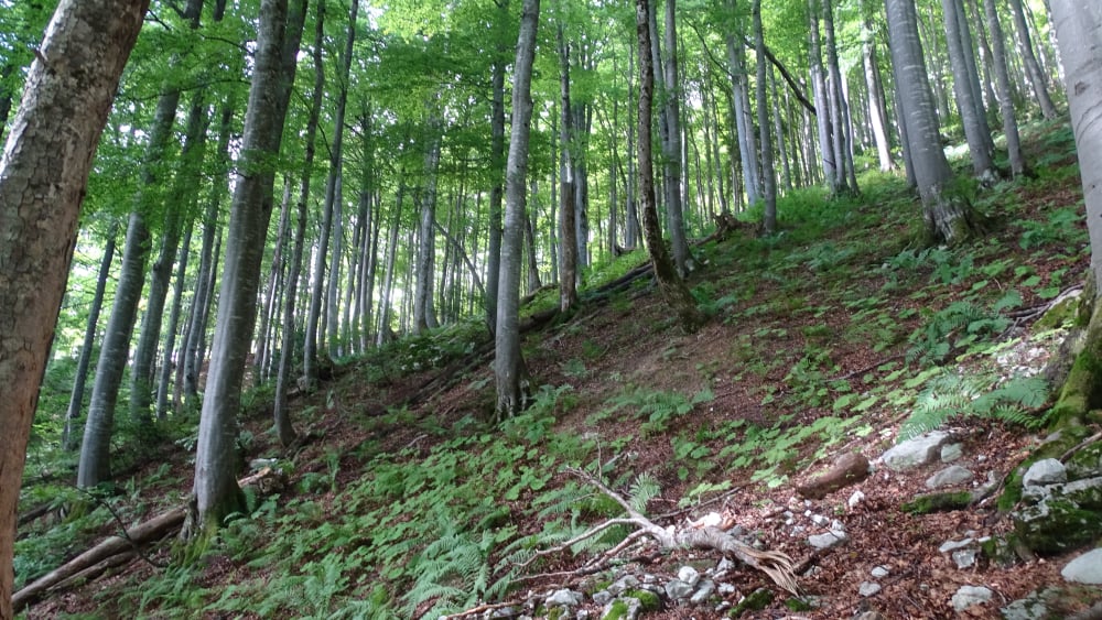 randonnée au passage du Fourneau  massif de la Chartreuse