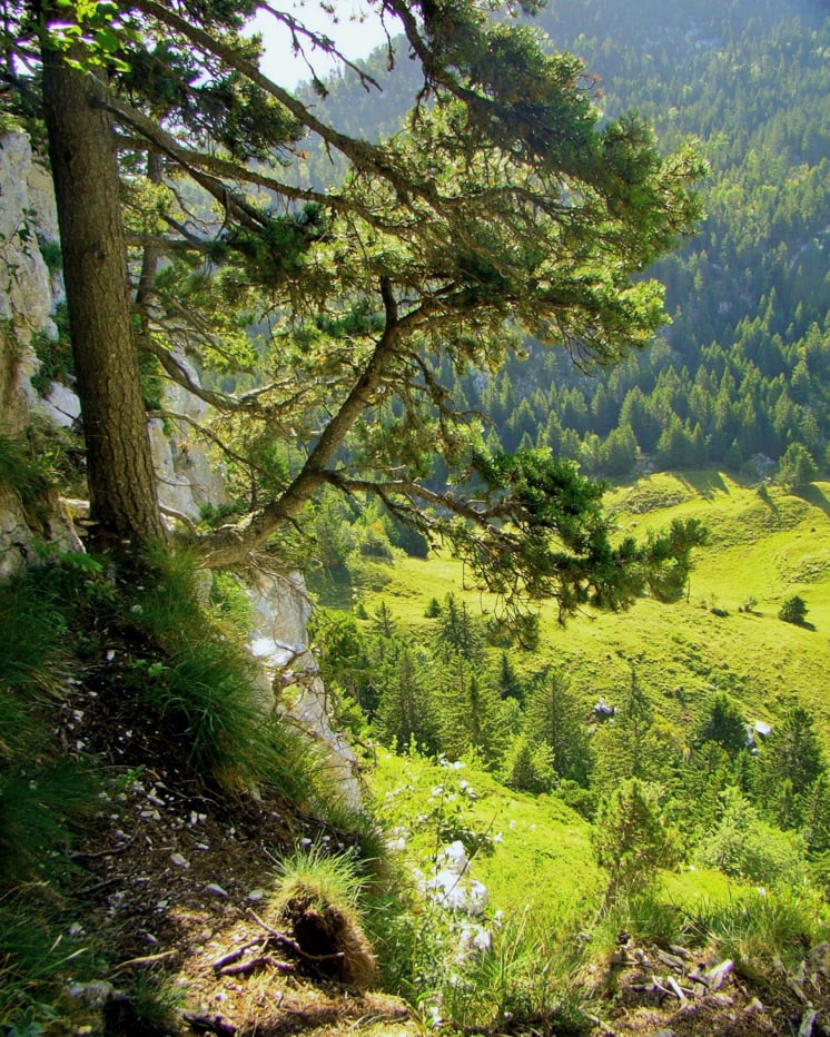 randonnée dans le  massif de la Chartreuse au Mont Granier  Pas des Barres 8
