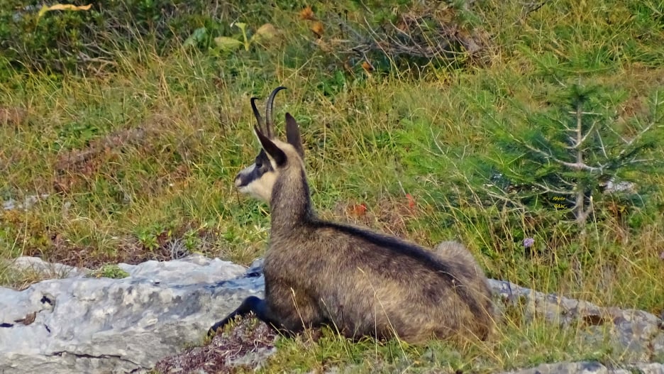 dent de Crolles randonnée en Chartreuse