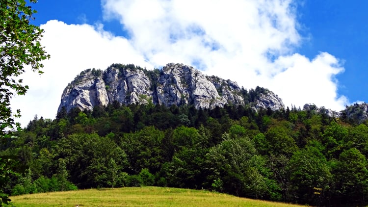 monastère de la Grande Chartreuse