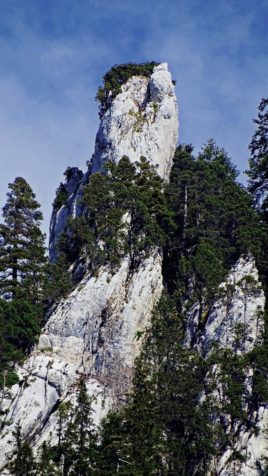 randonnée en chartreuse