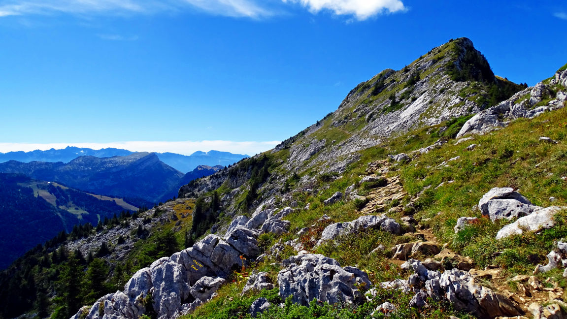 randonnée en Chartreuse le Grand Som