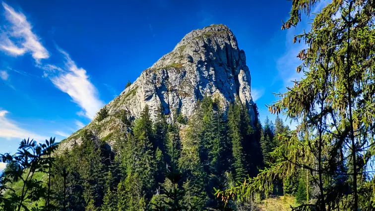randonnée à la Pinéa massif de la Chartreuse