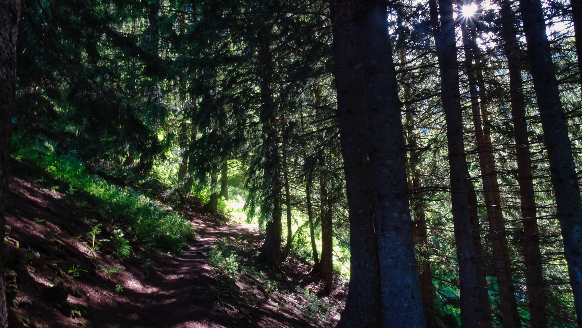 Le Guiers mort randonnée en Chartreuse