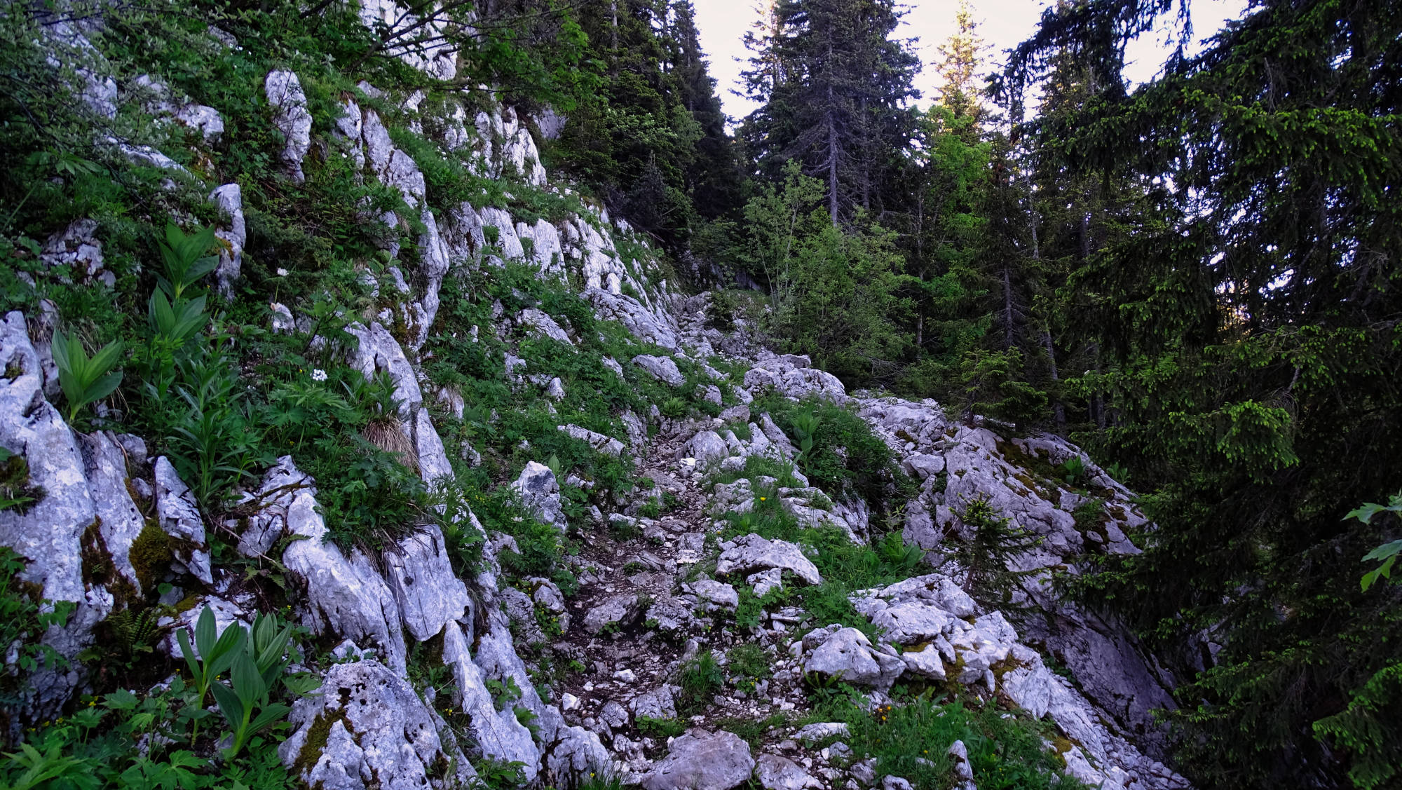 Le Guiers mort randonnée en Chartreuse