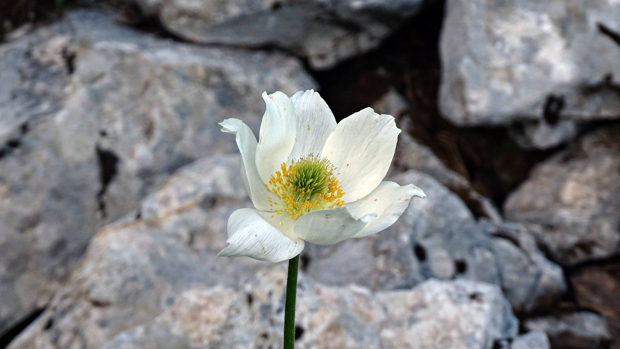 Le Guiers mort randonnée en Chartreuse