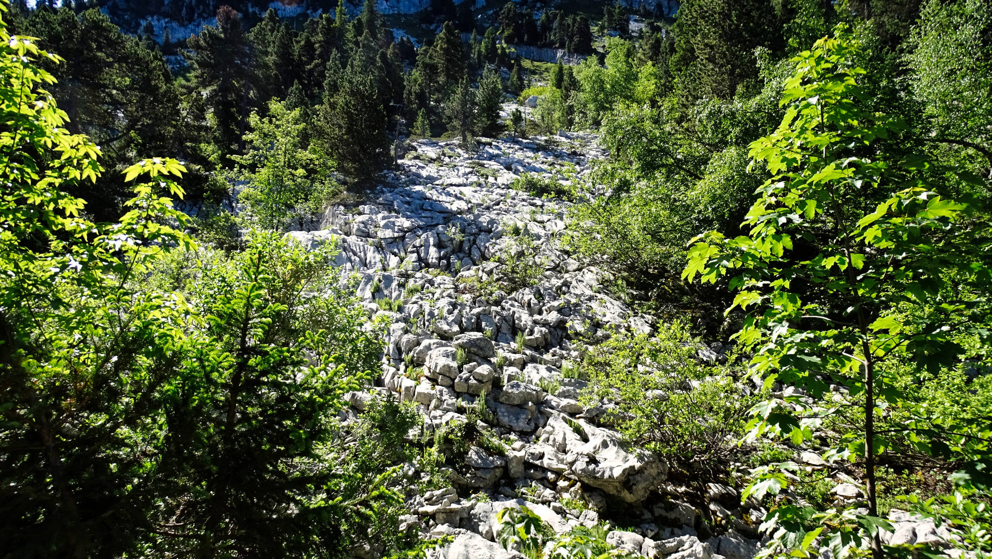 Le Guiers mort randonnée en Chartreuse