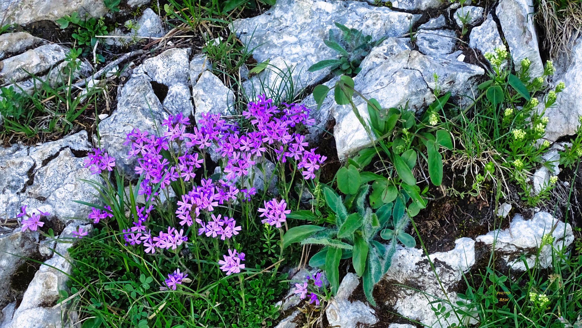 Le Guiers mort randonnée en Chartreuse