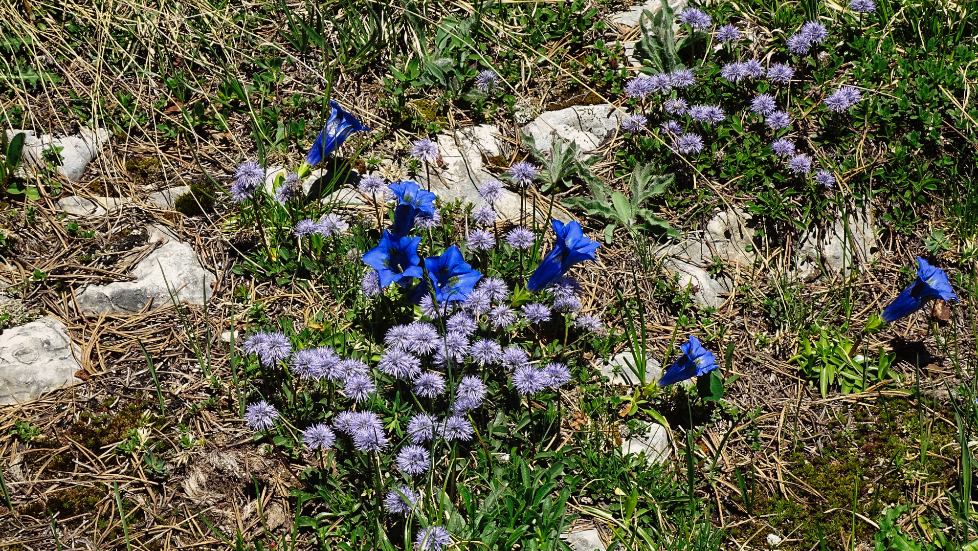 Le Guiers mort randonnée en Chartreuse