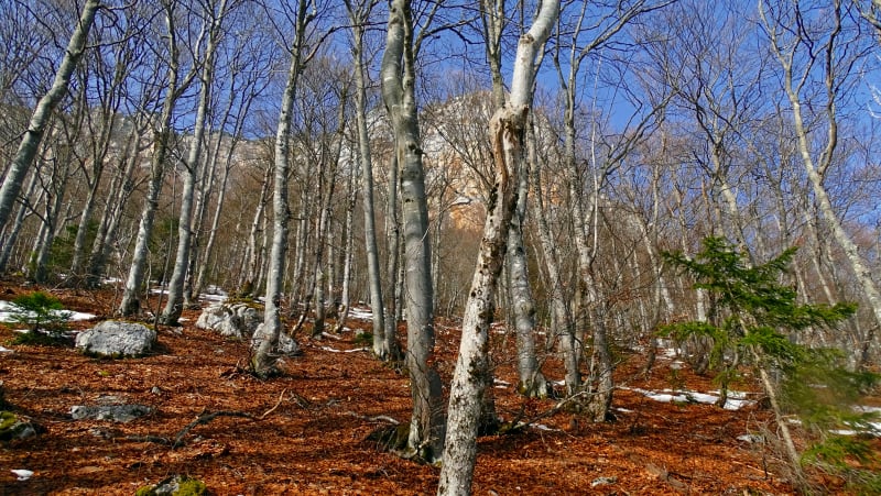randonnée au pas et à la grotte de la Rousse massif de la Chartreuse