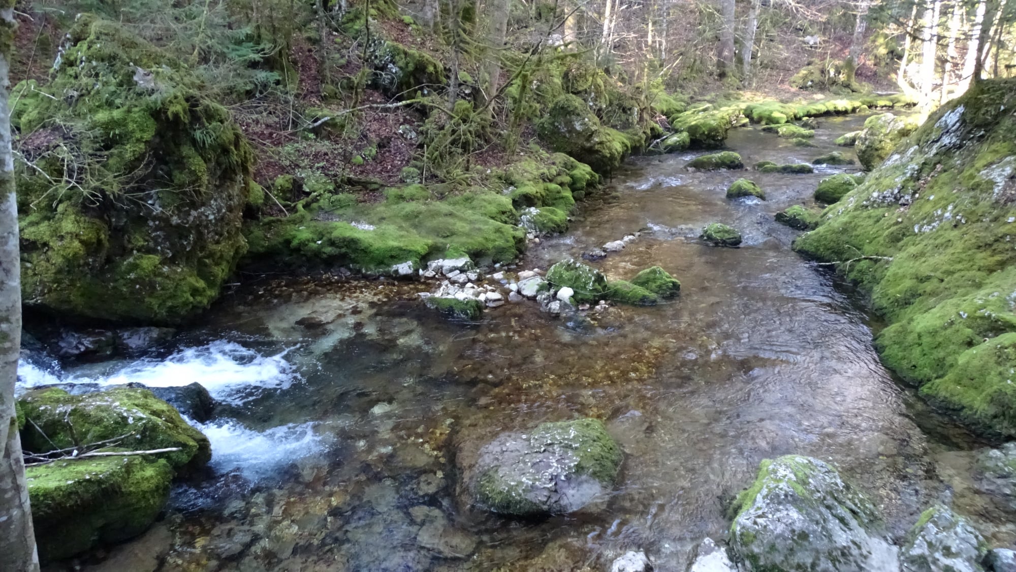 Le cirque de Saint Même et les cascades en Chartreuse photographie paysage nature 