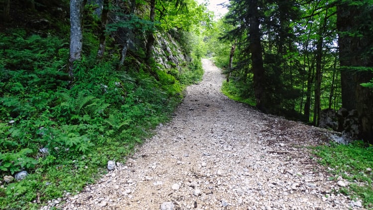 Randonnée Grande Sure massif de la Chartreuse