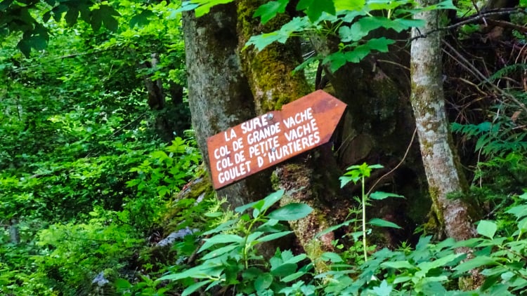 Randonnée Grande Sure massif de la Chartreuse