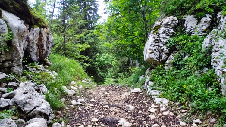 Randonnée Grande Sure massif de la Chartreuse