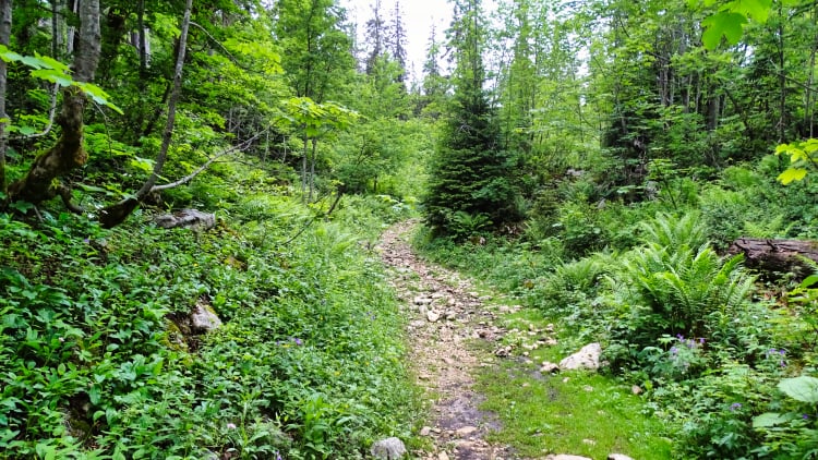 Randonnée Grande Sure massif de la Chartreuse