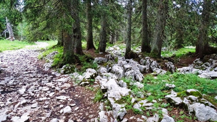 Randonnée Grande Sure massif de la Chartreuse