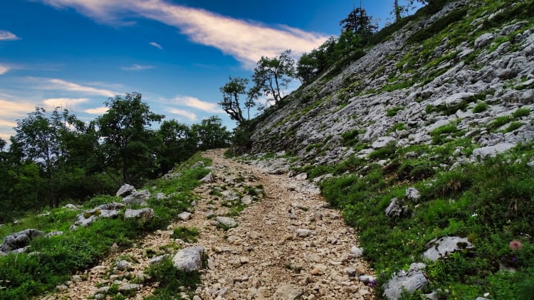 Randonnée Grande Sure massif de la Chartreuse