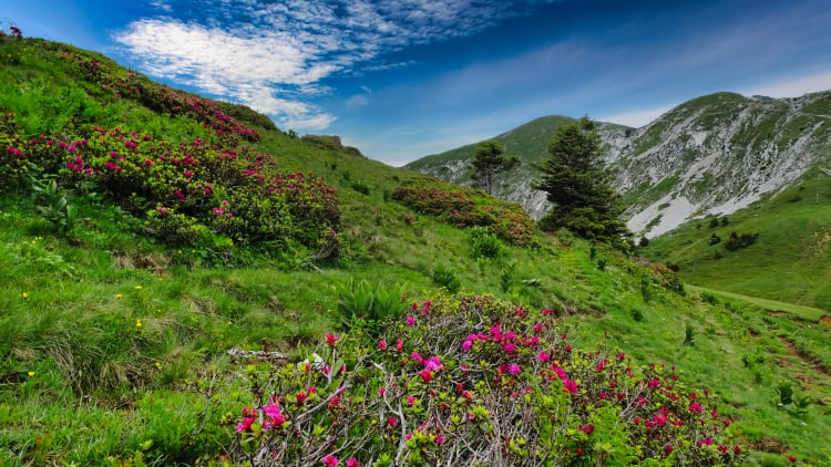 Randonnée Grande Sure massif de la Chartreuse