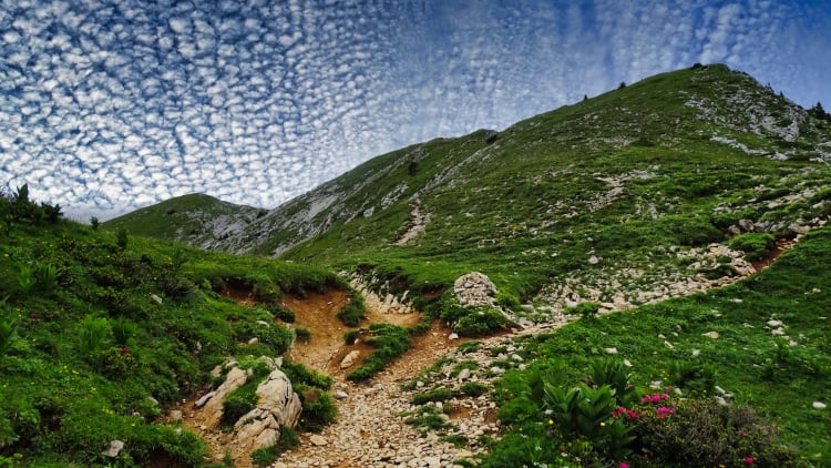 Randonnée Grande Sure massif de la Chartreuse