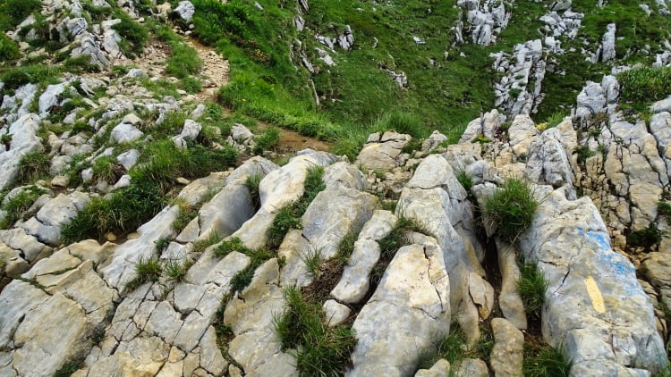 Randonnée Grande Sure massif de la Chartreuse