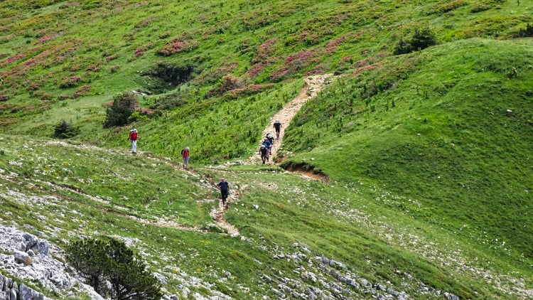 Randonnée Grande Sure massif de la Chartreuse