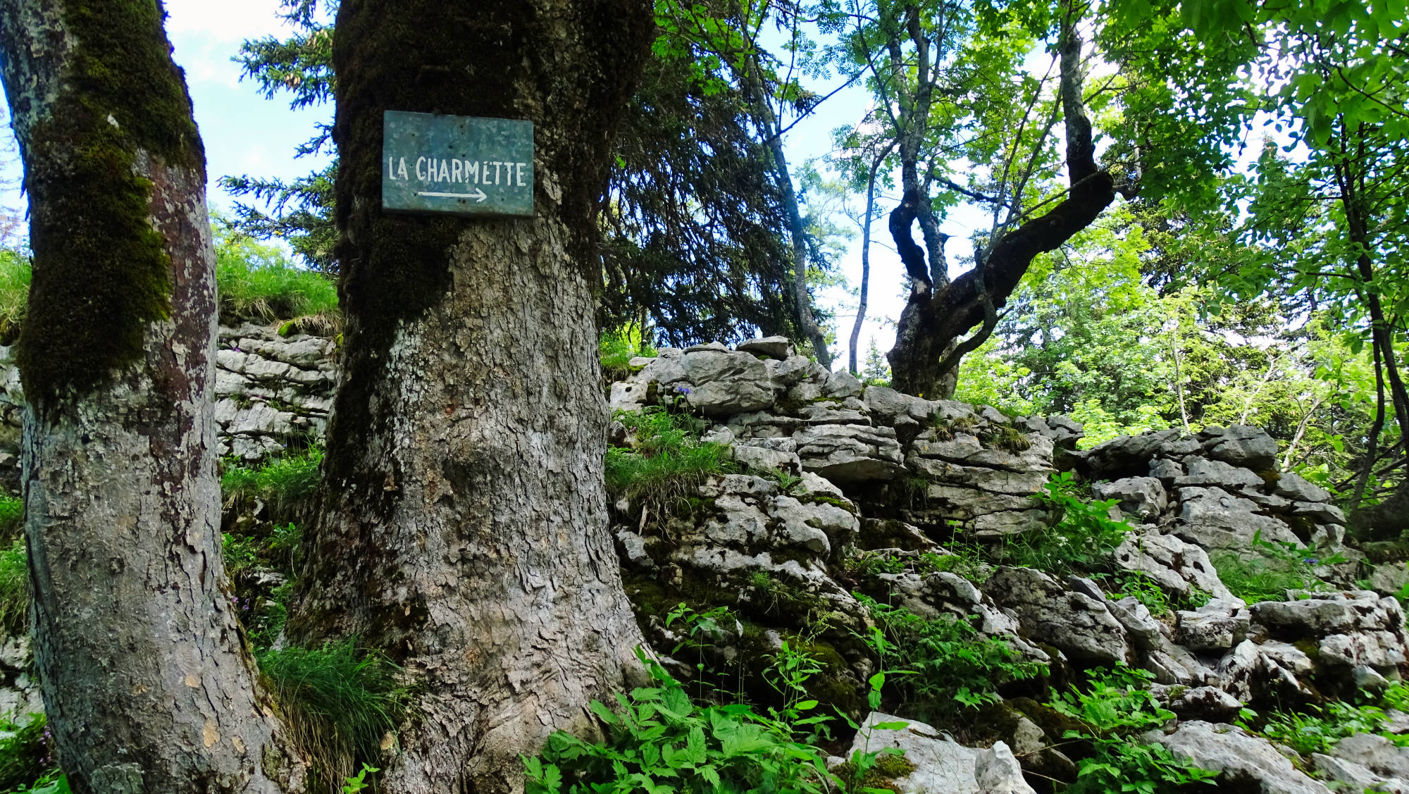 Randonnée en Chartreuse le goulet d'Hurtières